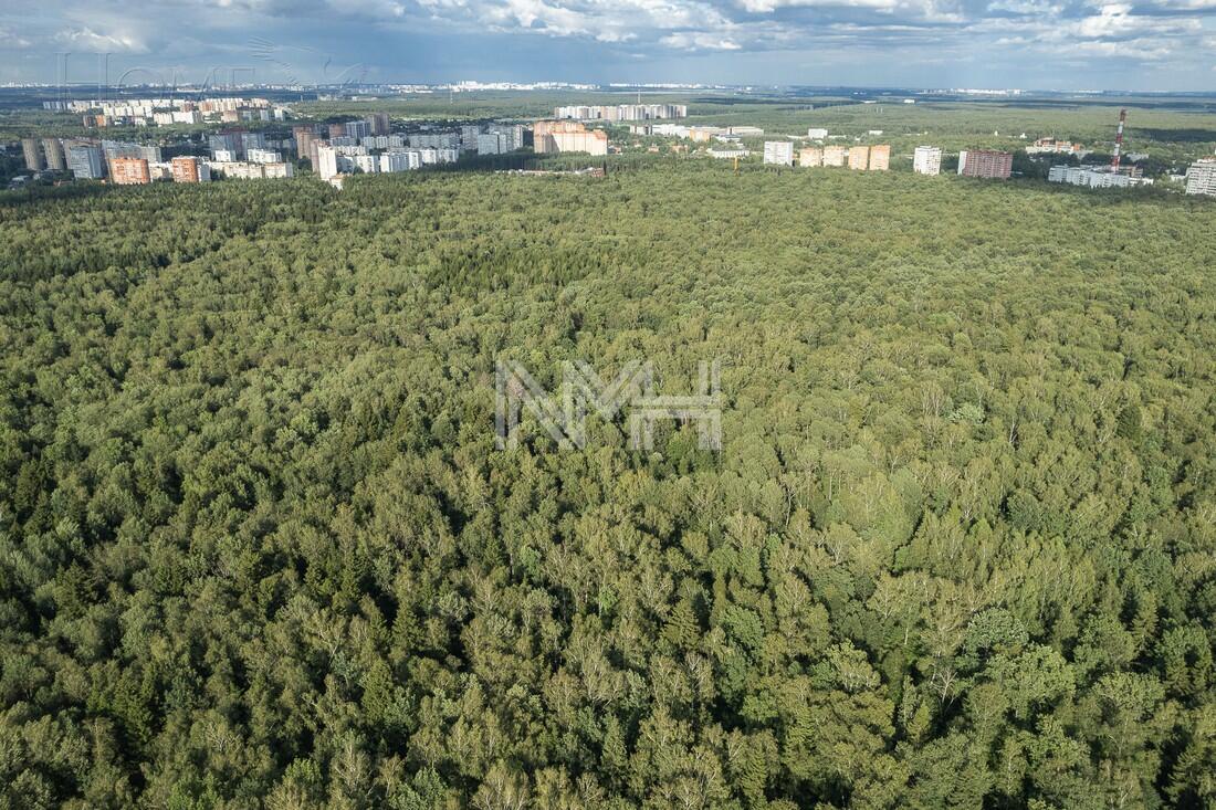 Участок 40 сот.