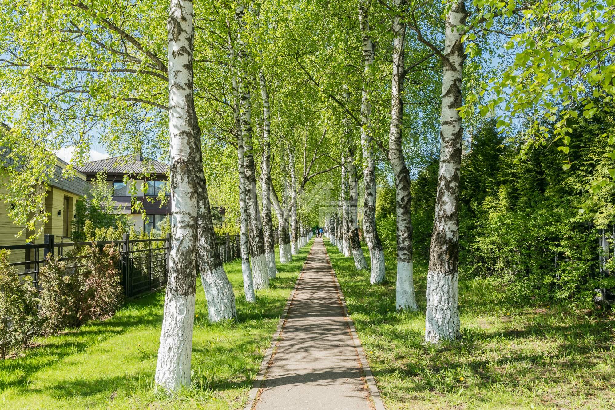 2-этажный коттедж 296 м² без отделки