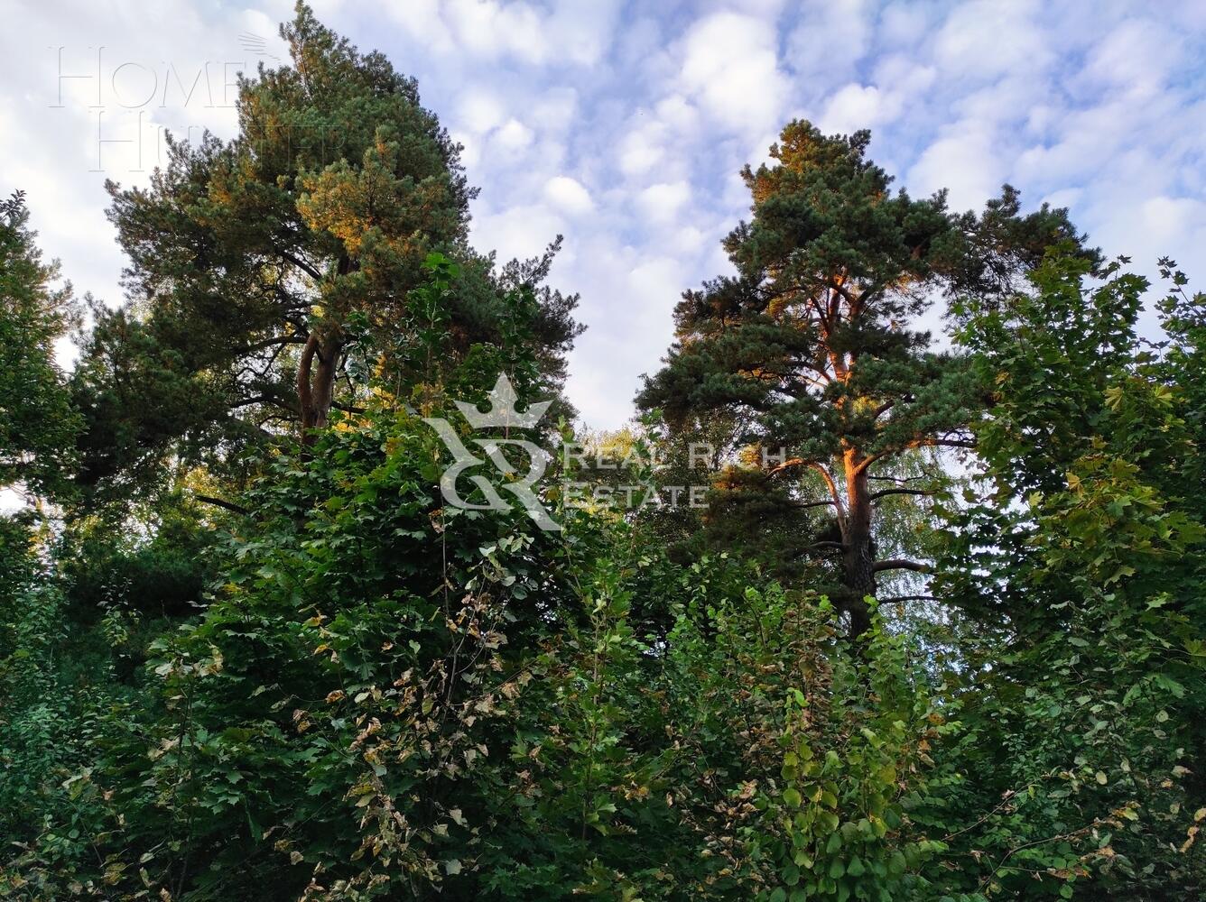 Участок 30 сот.