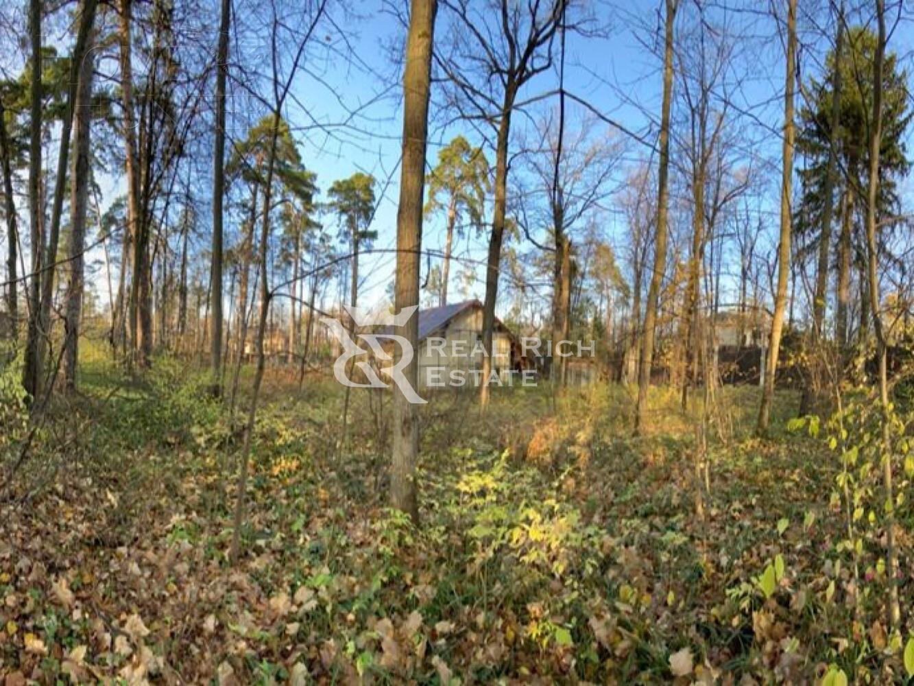 Участок 50.8 сот.