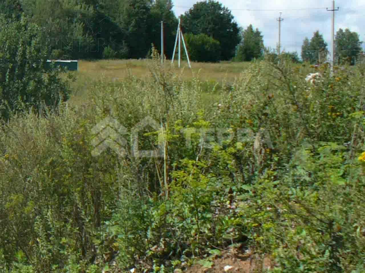 Участок 75 сот.