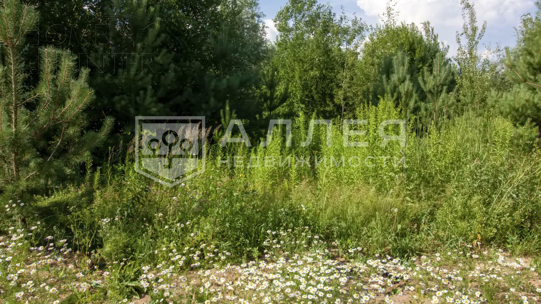 Участок 50 сот. в охраняемом поселке