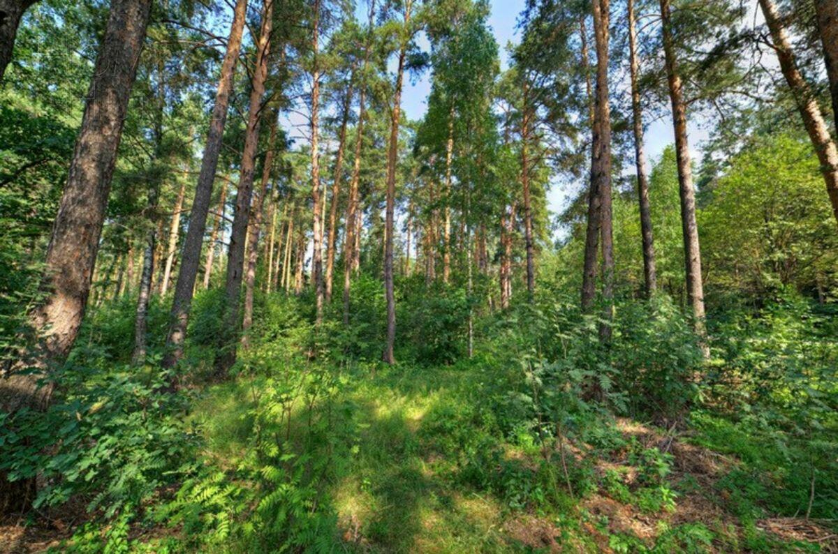 Участок 30 сот. в охраняемом поселке