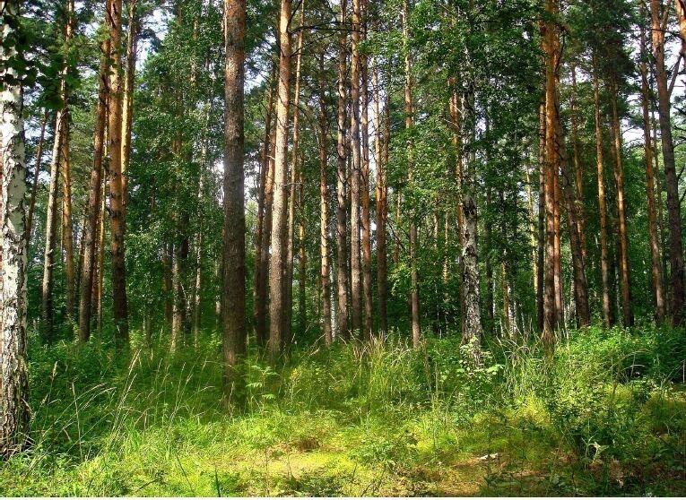 Участок 75 сот. в охраняемом поселке