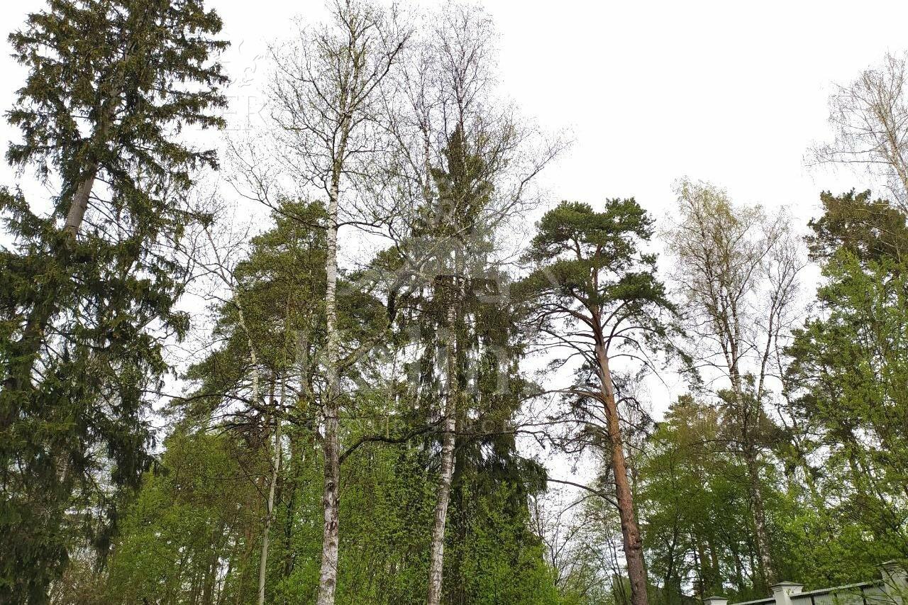 Участок 49.3 сот. в охраняемом поселке