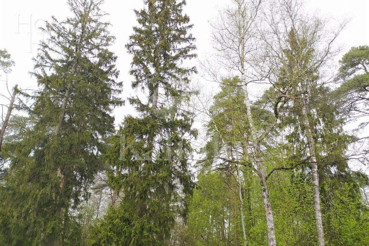 Участок 49.3 сот. в охраняемом поселке