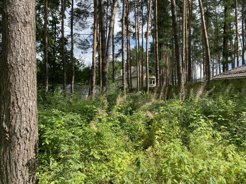 Участок 19 сот.