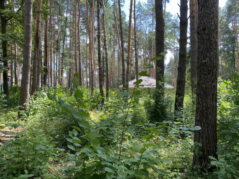 Участок 19 сот.