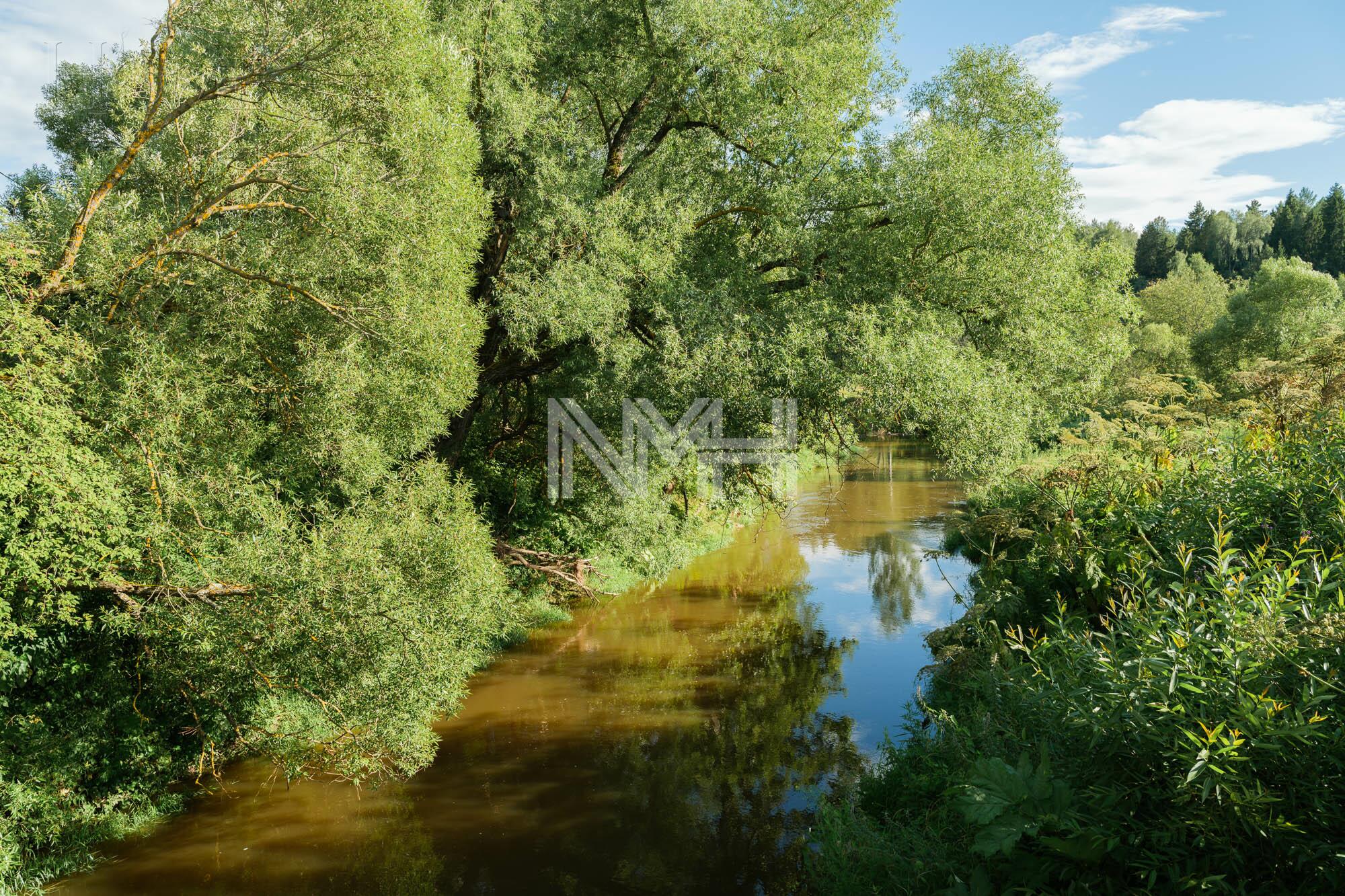 Участок 491 сот.