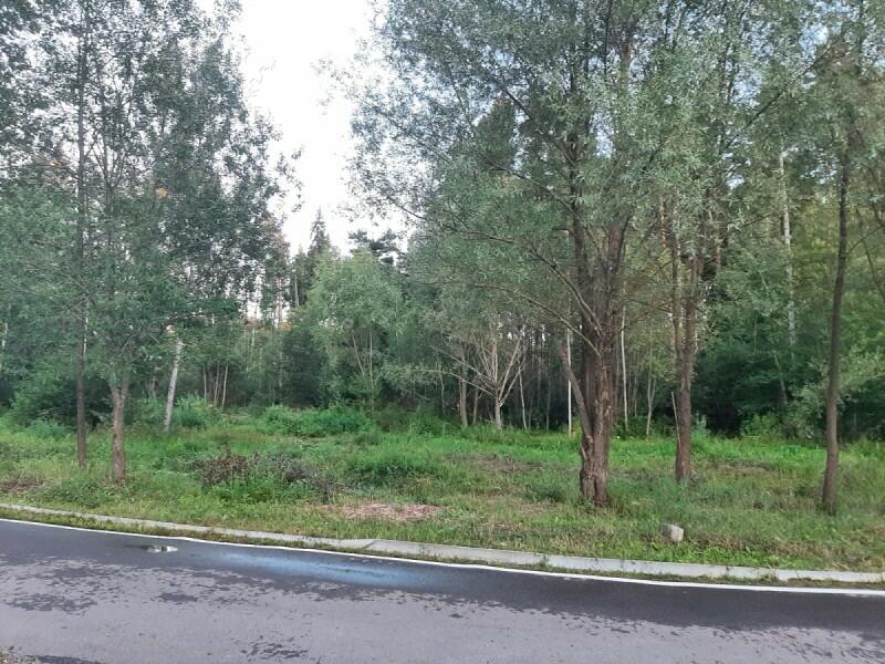 Участок 35 сот.