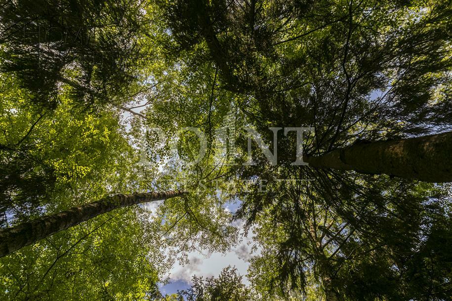 2-этажный коттедж 800 м² с отделкой