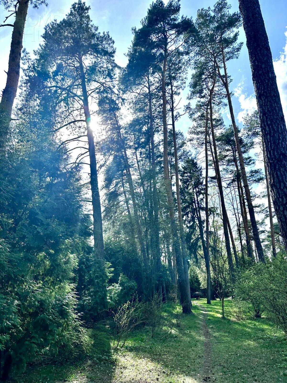 Участок 77 сот.