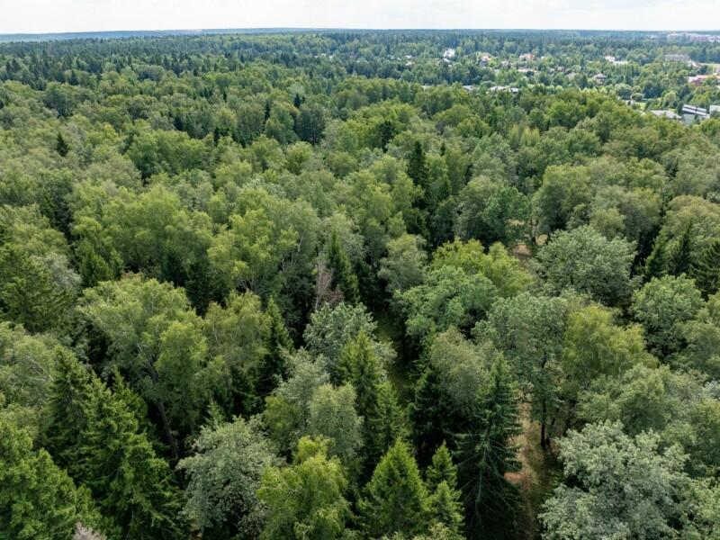 Участок 1 150 сот. в охраняемом поселке