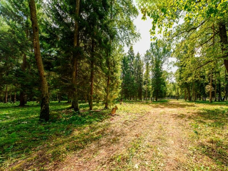 Участок 1 150 сот. в охраняемом поселке