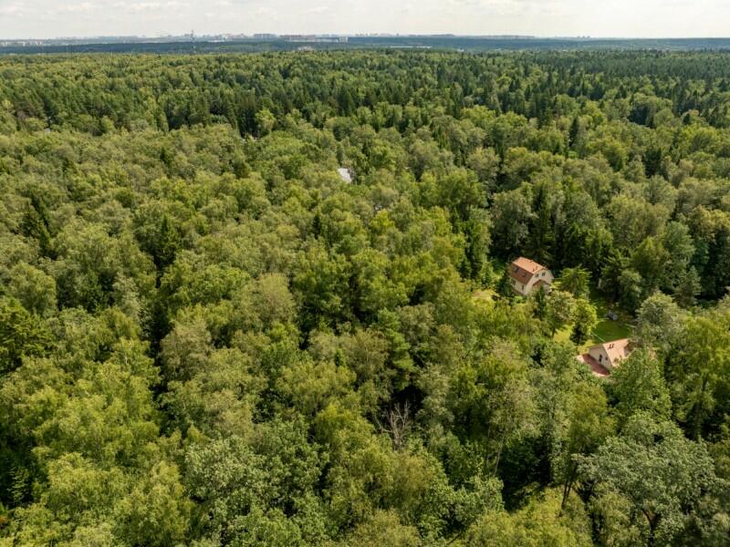 Участок 1 150 сот. в охраняемом поселке