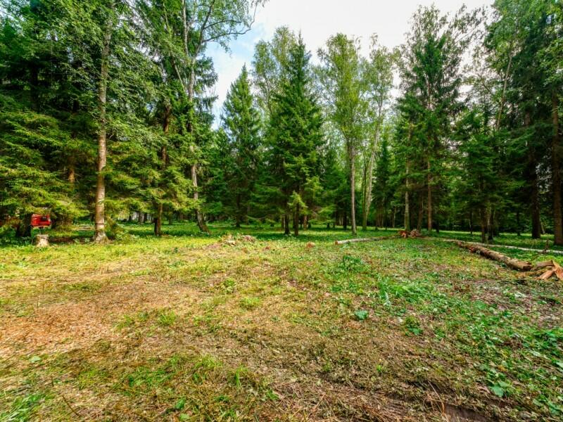 Участок 1 150 сот. в охраняемом поселке