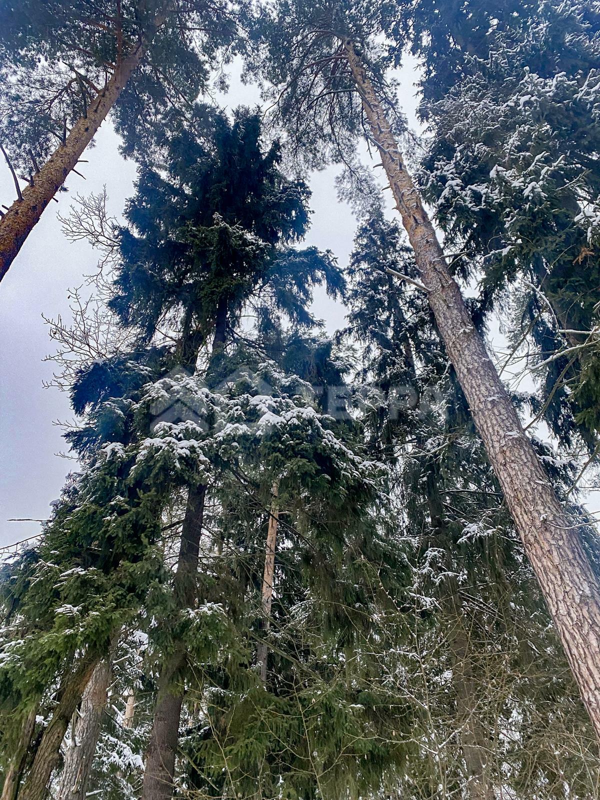 2-этажный коттедж 800 м² без отделки