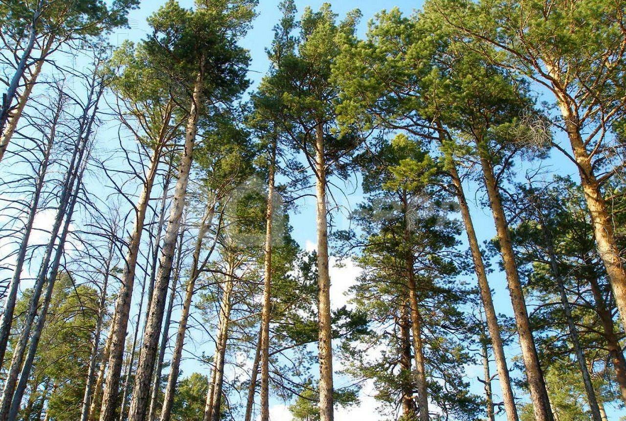 Участок 50 сот. в охраняемом поселке