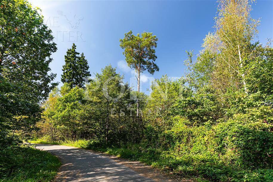 Участок 100 сот.