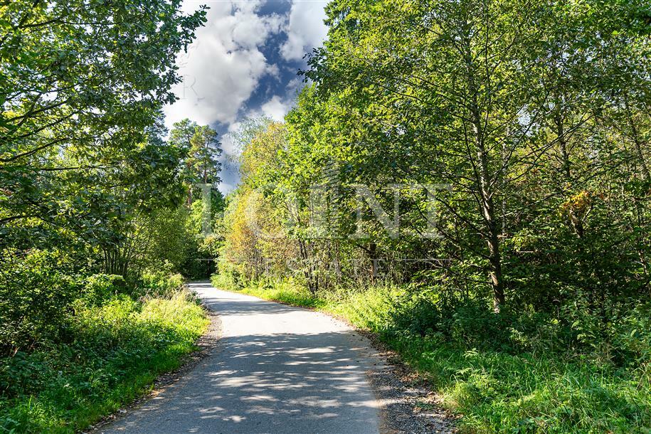 Участок 100 сот.