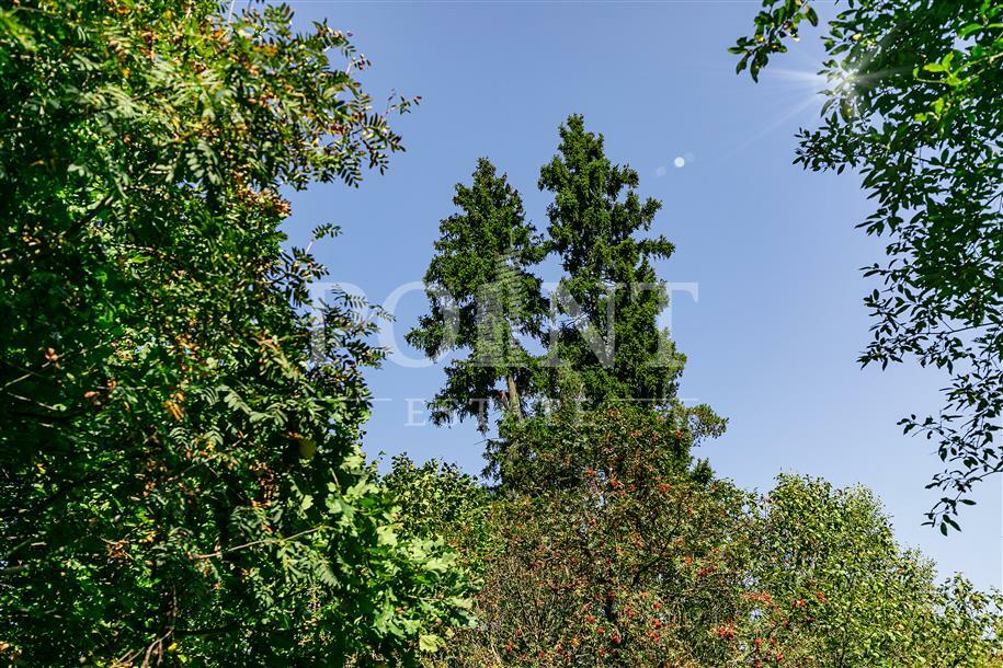 Участок 100 сот.