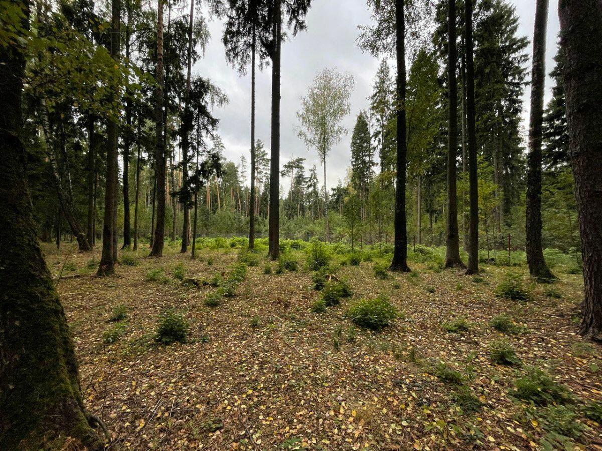 Участок 18 сот. в охраняемом поселке