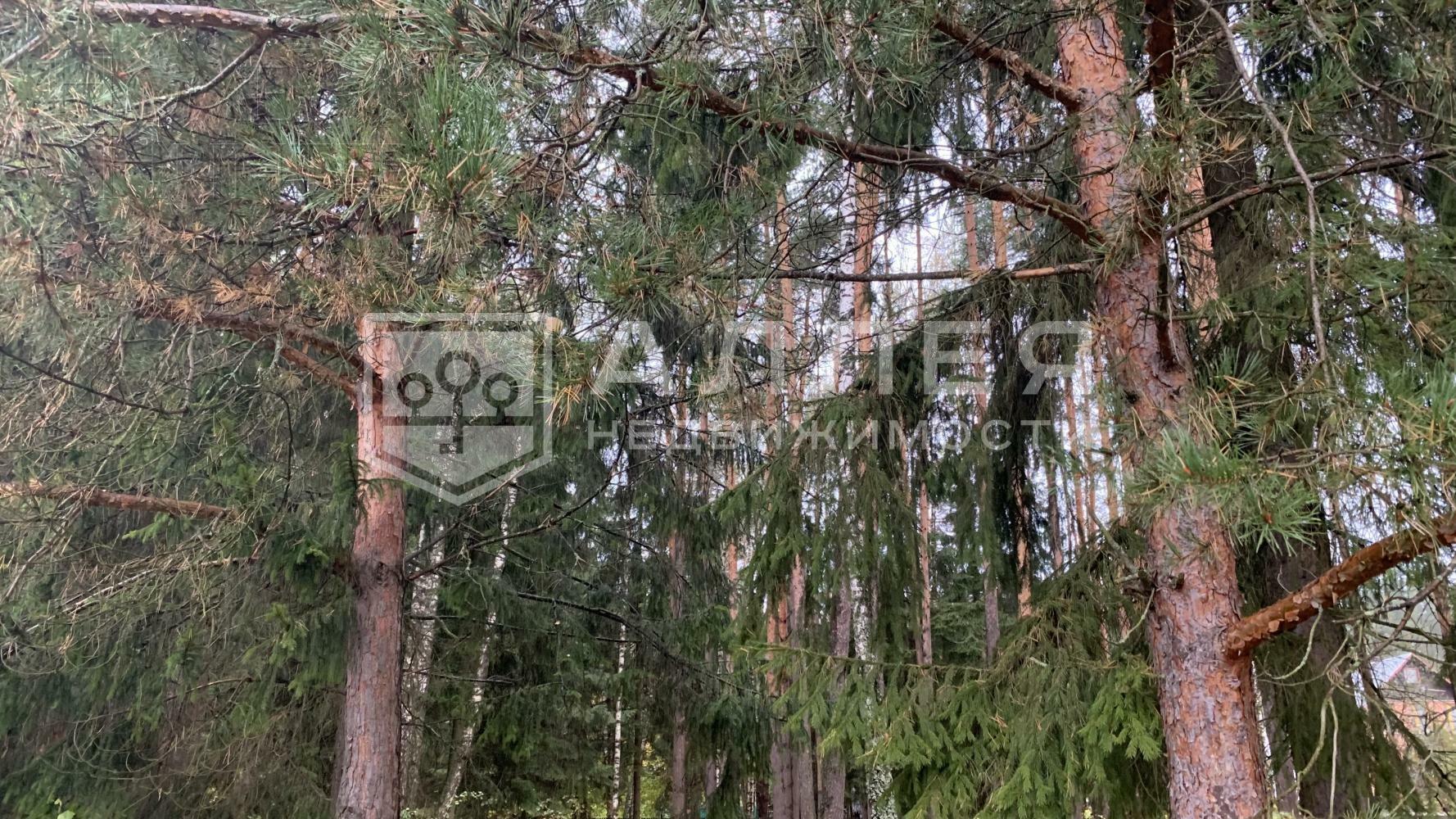 Участок 940 сот.