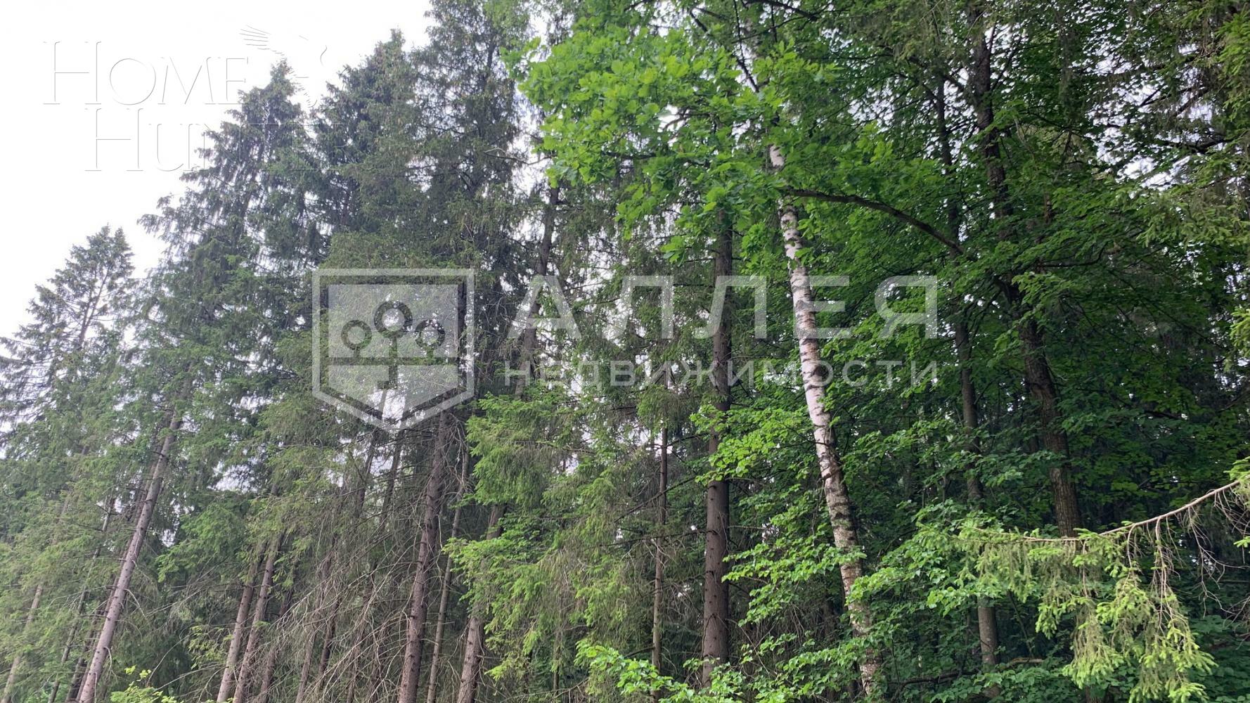 Участок 940 сот.