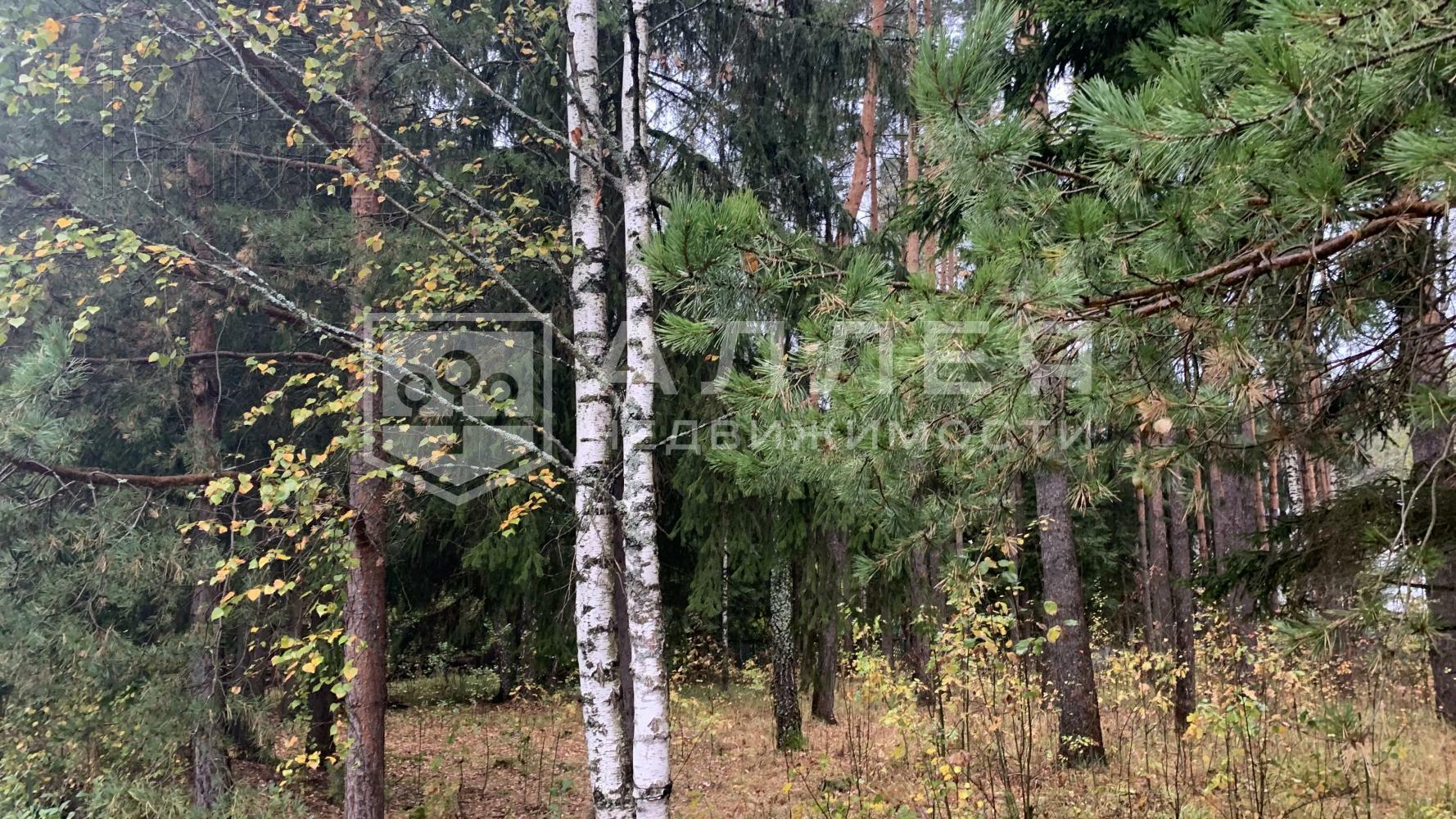 Участок 940 сот.