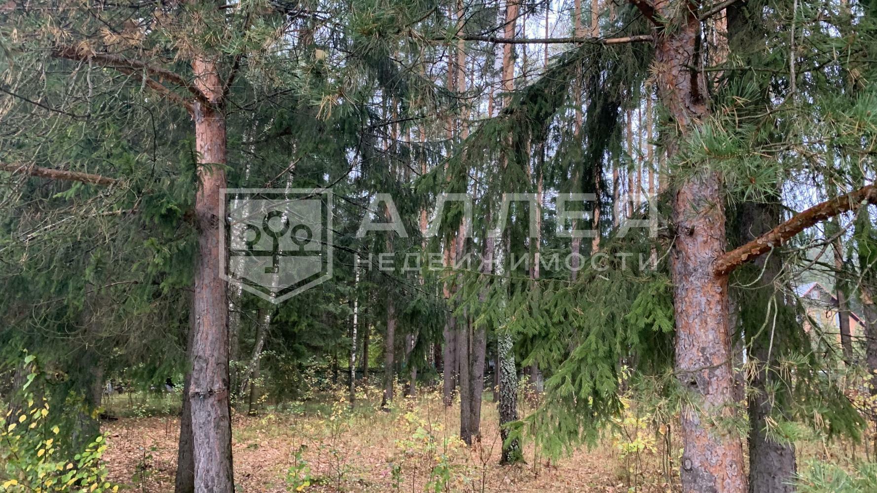 Участок 940 сот.