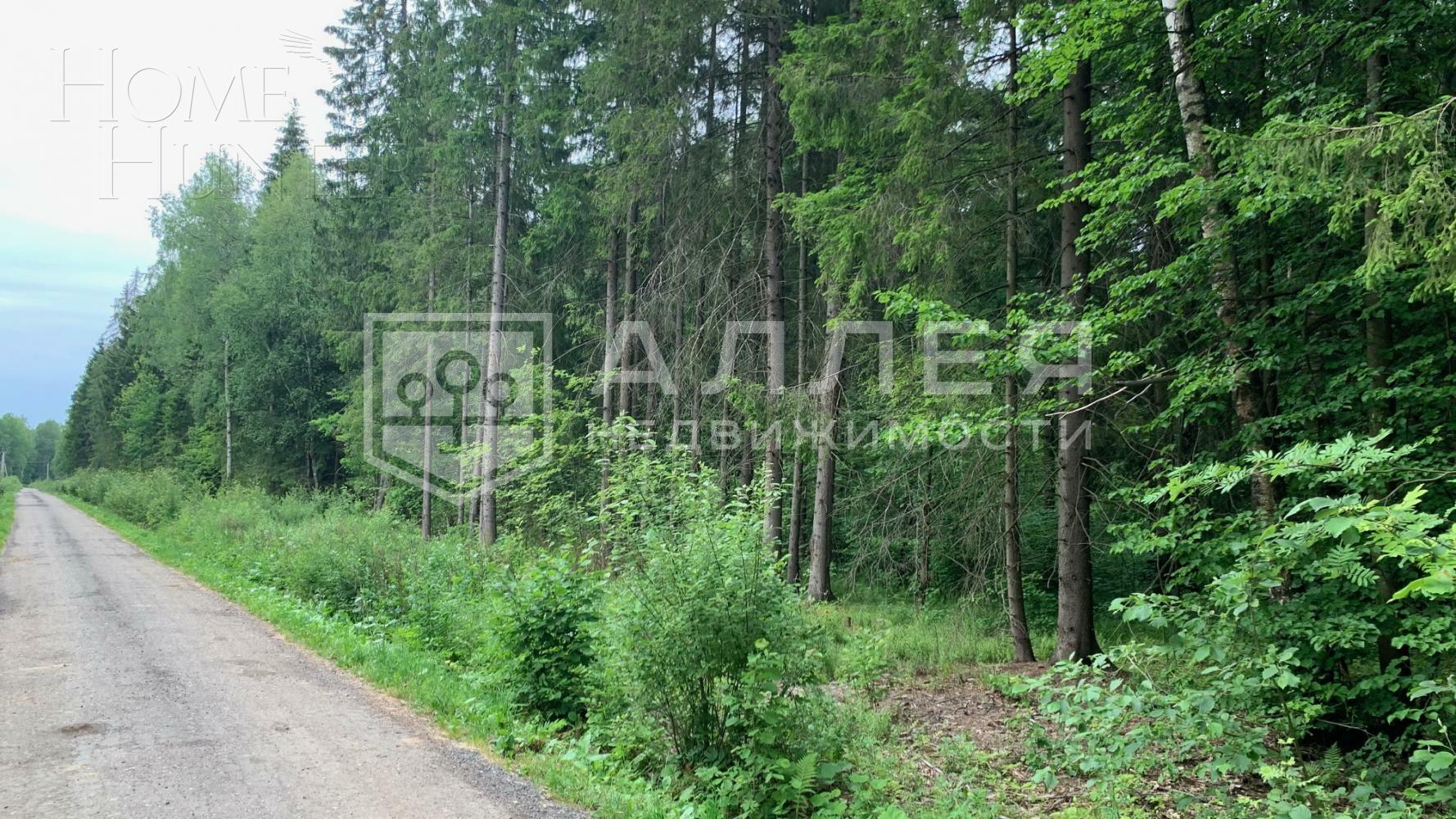 Участок 940 сот.