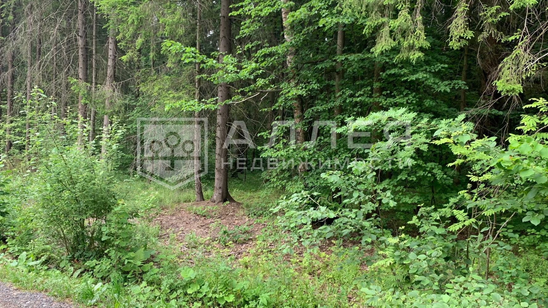 Участок 940 сот.