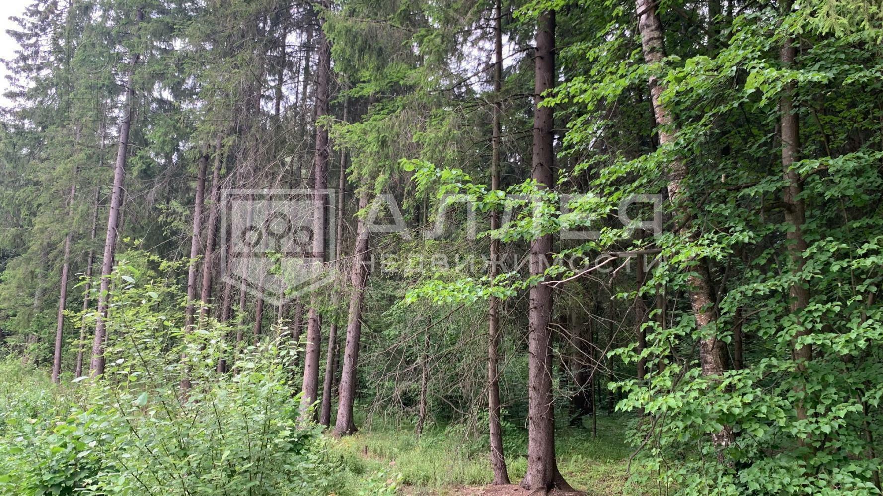 Участок 940 сот.