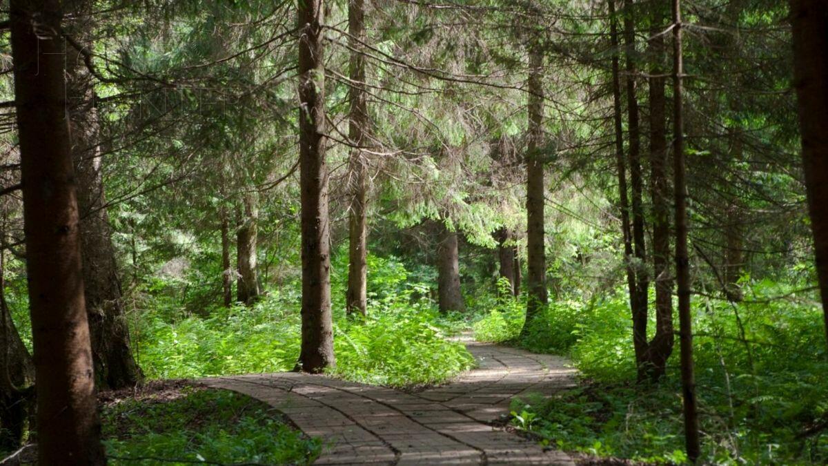 Участок 41.44 сот. в охраняемом поселке