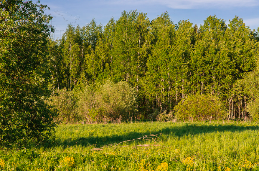 Участок 100 сот. в охраняемом поселке