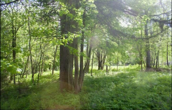 2-этажный коттедж 1 140 м² с отделкой