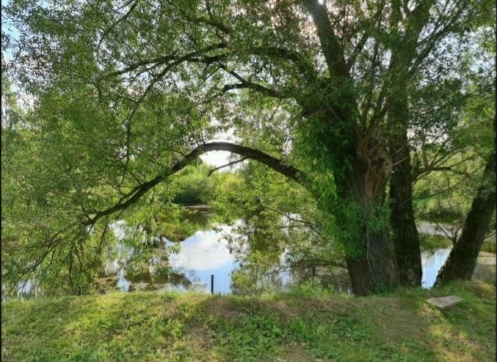 2-этажный коттедж 1 140 м² с отделкой