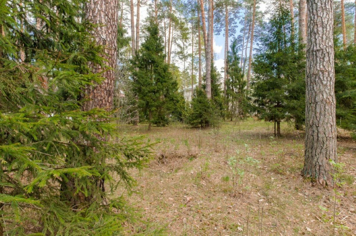 2-этажный коттедж 1 350 м² без отделки