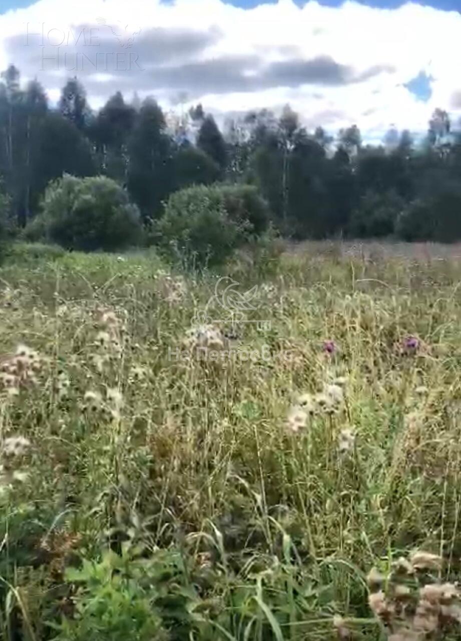 Участок 1 260 сот.