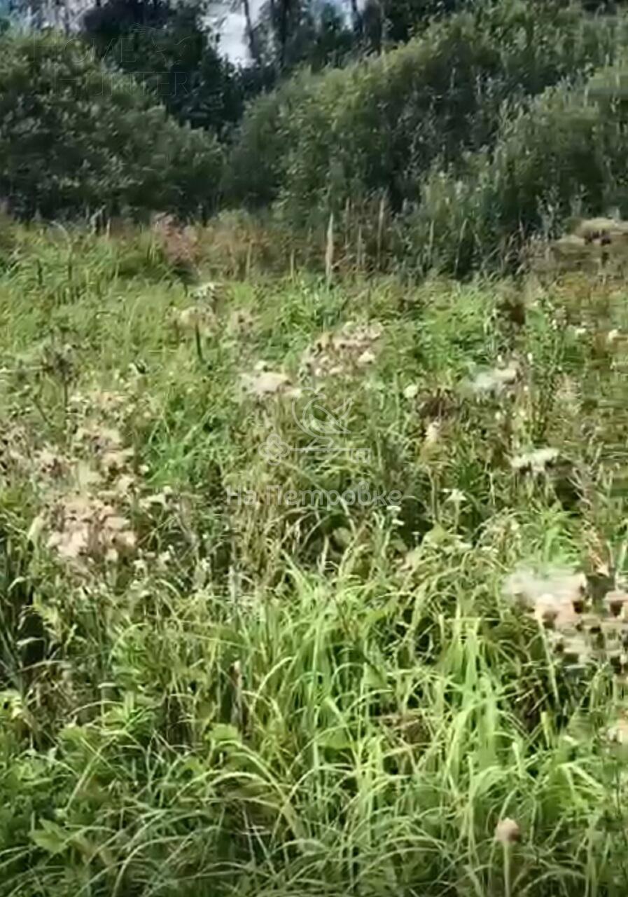 Участок 1 260 сот.