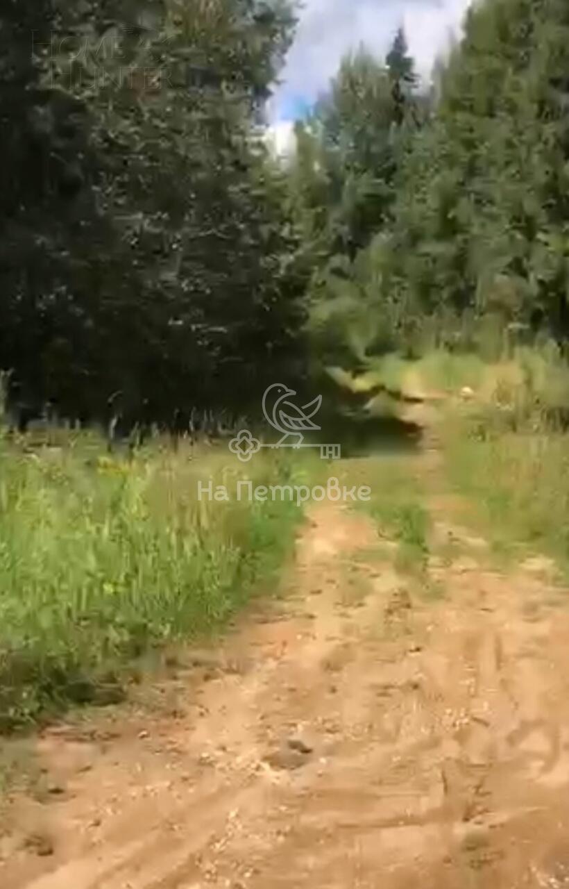 Участок 1 260 сот.