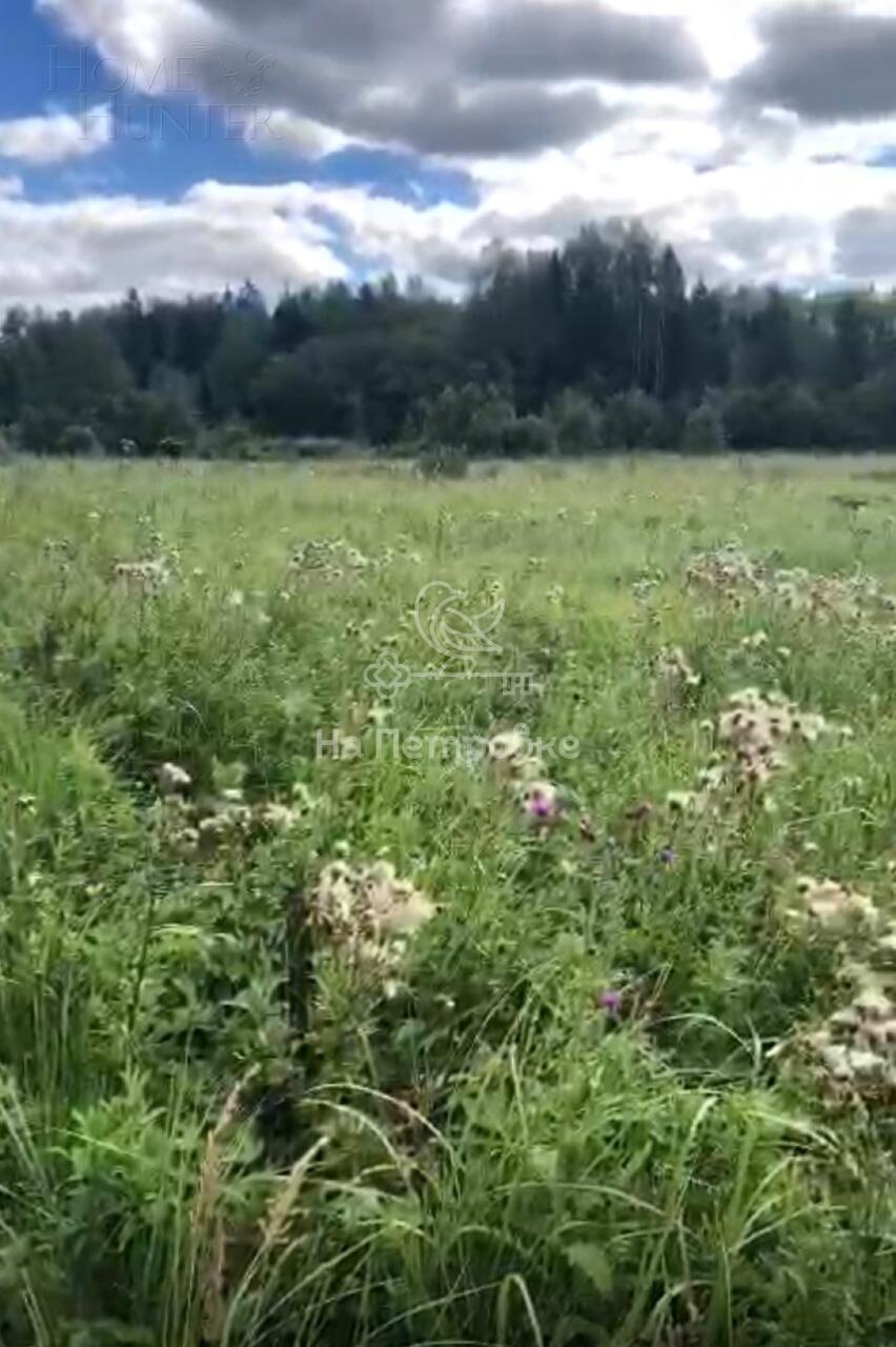 Участок 1 260 сот.
