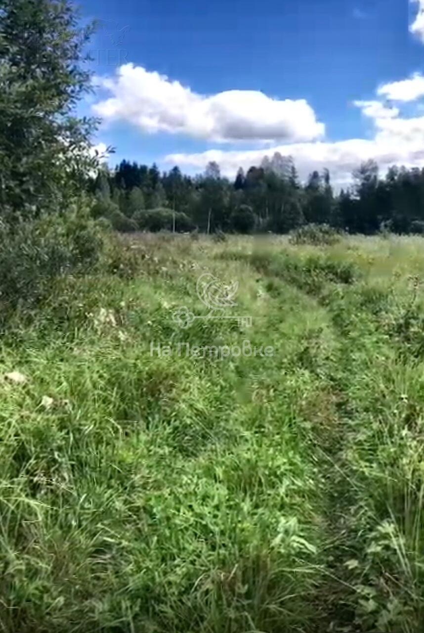 Участок 1 260 сот.