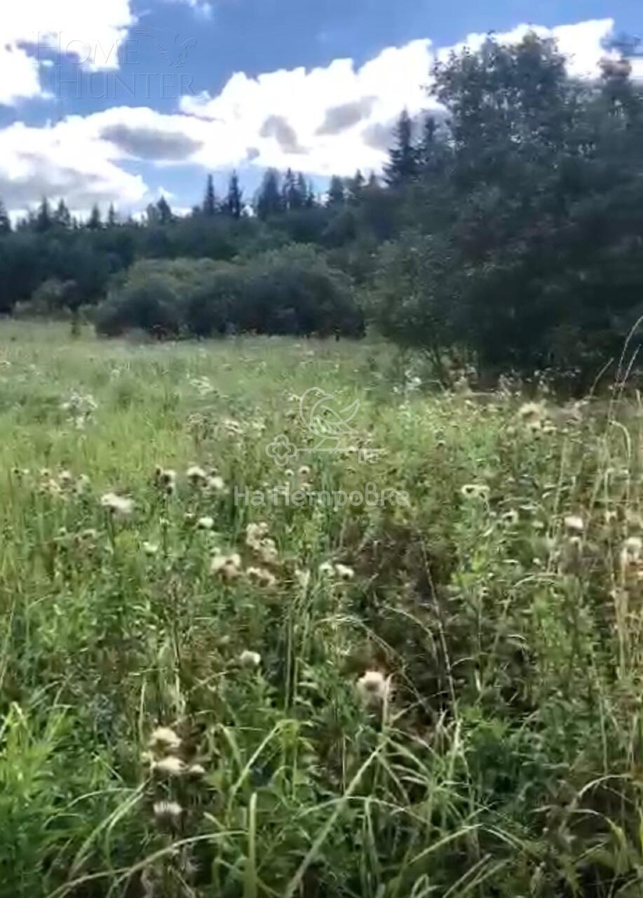 Участок 1 260 сот.