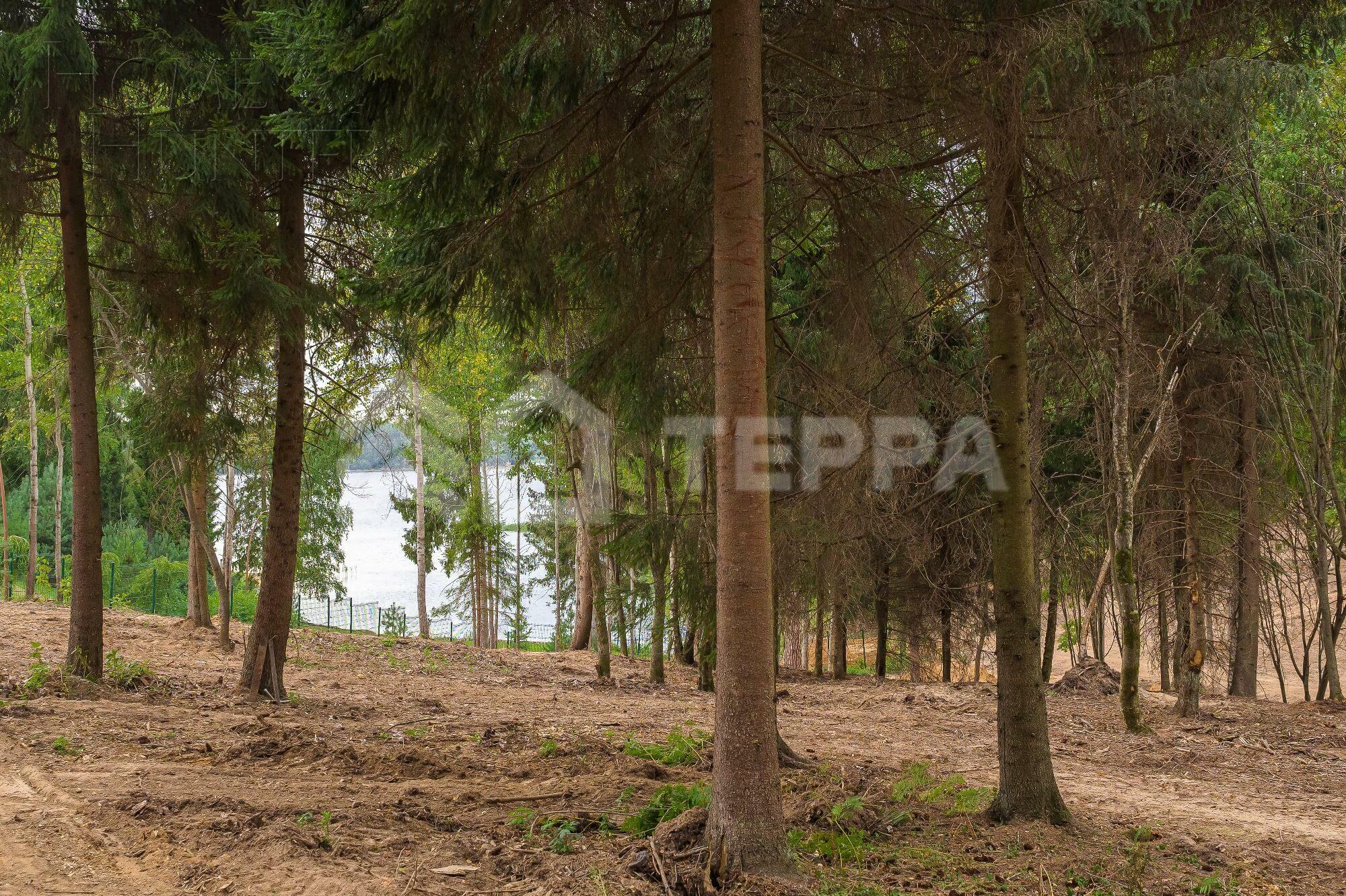 Участок 247 сот. в охраняемом поселке