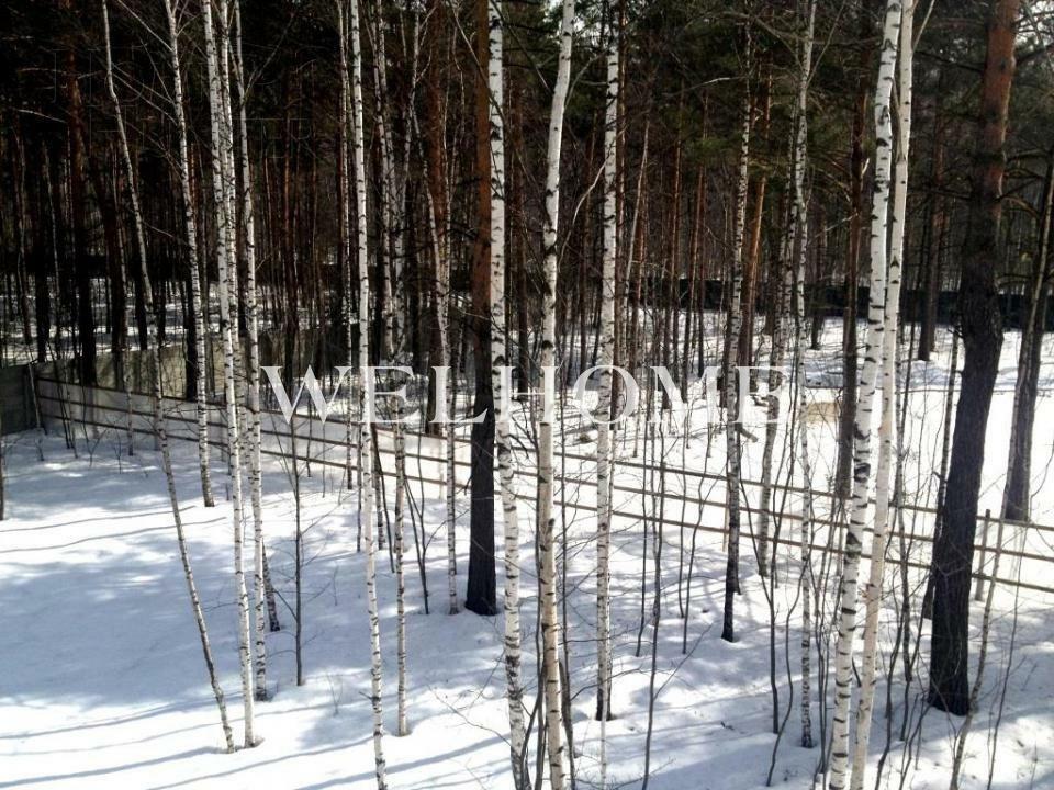 2-этажный коттедж 1 926 м² без отделки