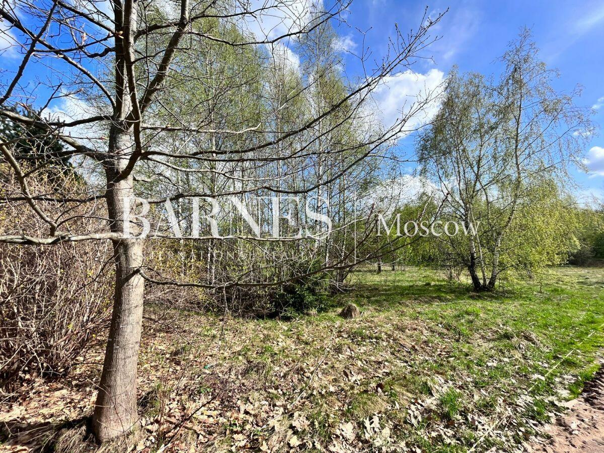 Участок 36 сот.