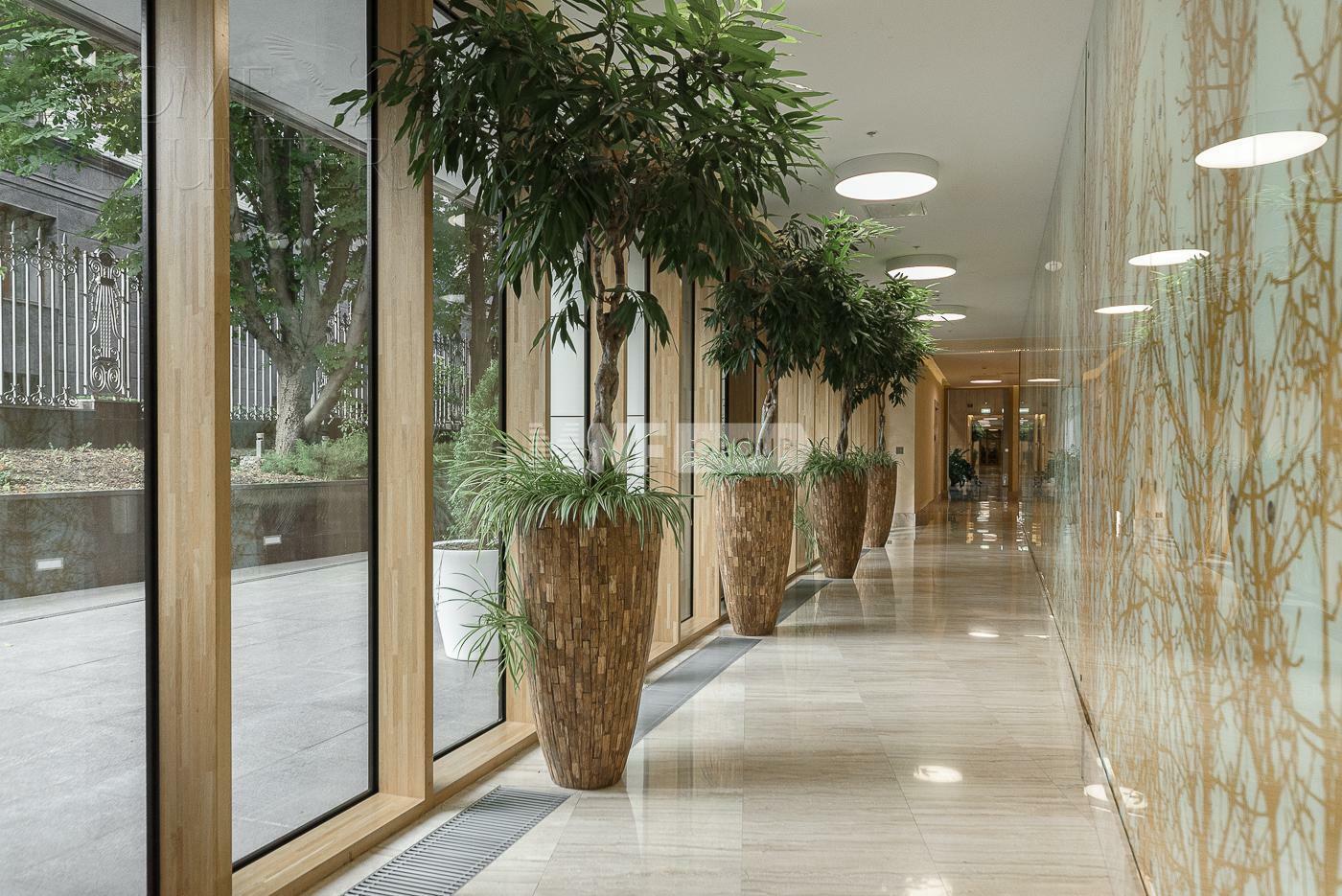 5-КОМН. АПАРТАМЕНТЫ С ОТДЕЛКОЙ 196 М² НА 2 ЭТАЖЕ