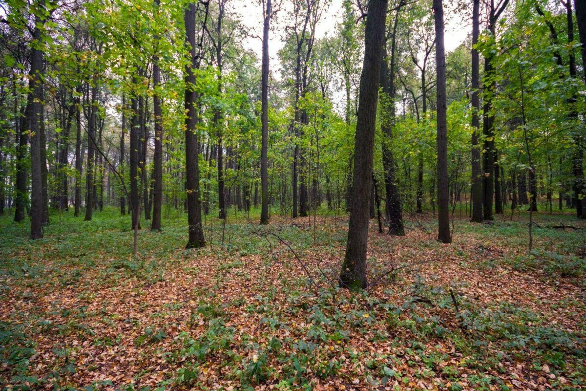 Участок 65 сот. в охраняемом поселке