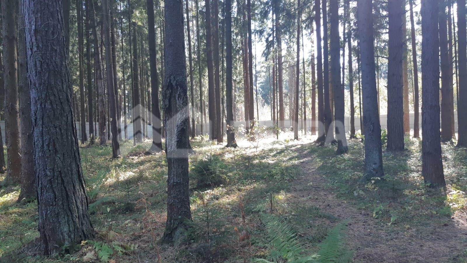 Участок 23 сот. в охраняемом поселке